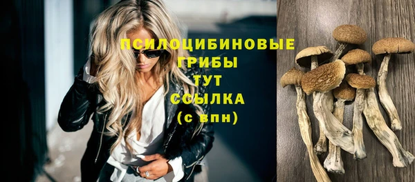 кристаллы Абаза