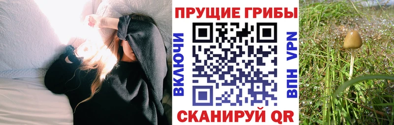 Псилоцибиновые грибы ЛСД  Нестеровская 